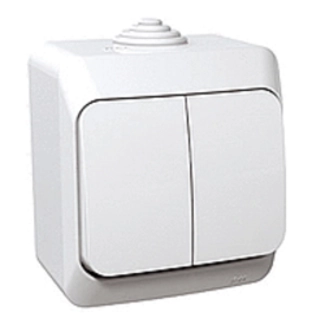 WDE000550 WDE000550 Cedar Plus - dupli jednopolni prekidač - 16AX, beli