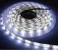LR5-IP20-4,8W-6500K LR5-IP20-4,8W-6500K LED traka LR5-IP20, SMD2835 60LEDs 12V DC 4,8W/m 6500K, 5m, JOKEL